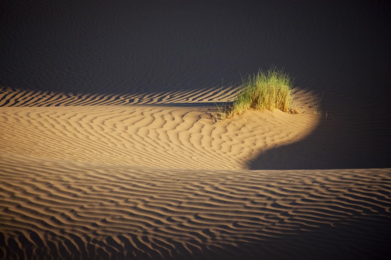 فندق مبيت وإفطار Bivouac La Dune Blanche محاميد الغزلان